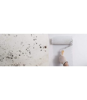 TECPINT ANTICONDENSACIÓN de Tecno Prodist - Pintura Anti-condensación al  Agua - Interior y Exterior - Paredes y Techos (BLANCO) - Blanco